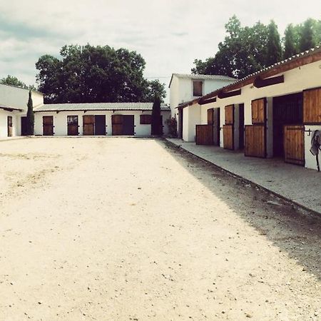 Maison Au Milieu Des Chevaux LʼIsle-sur-la-Sorgue المظهر الخارجي الصورة
