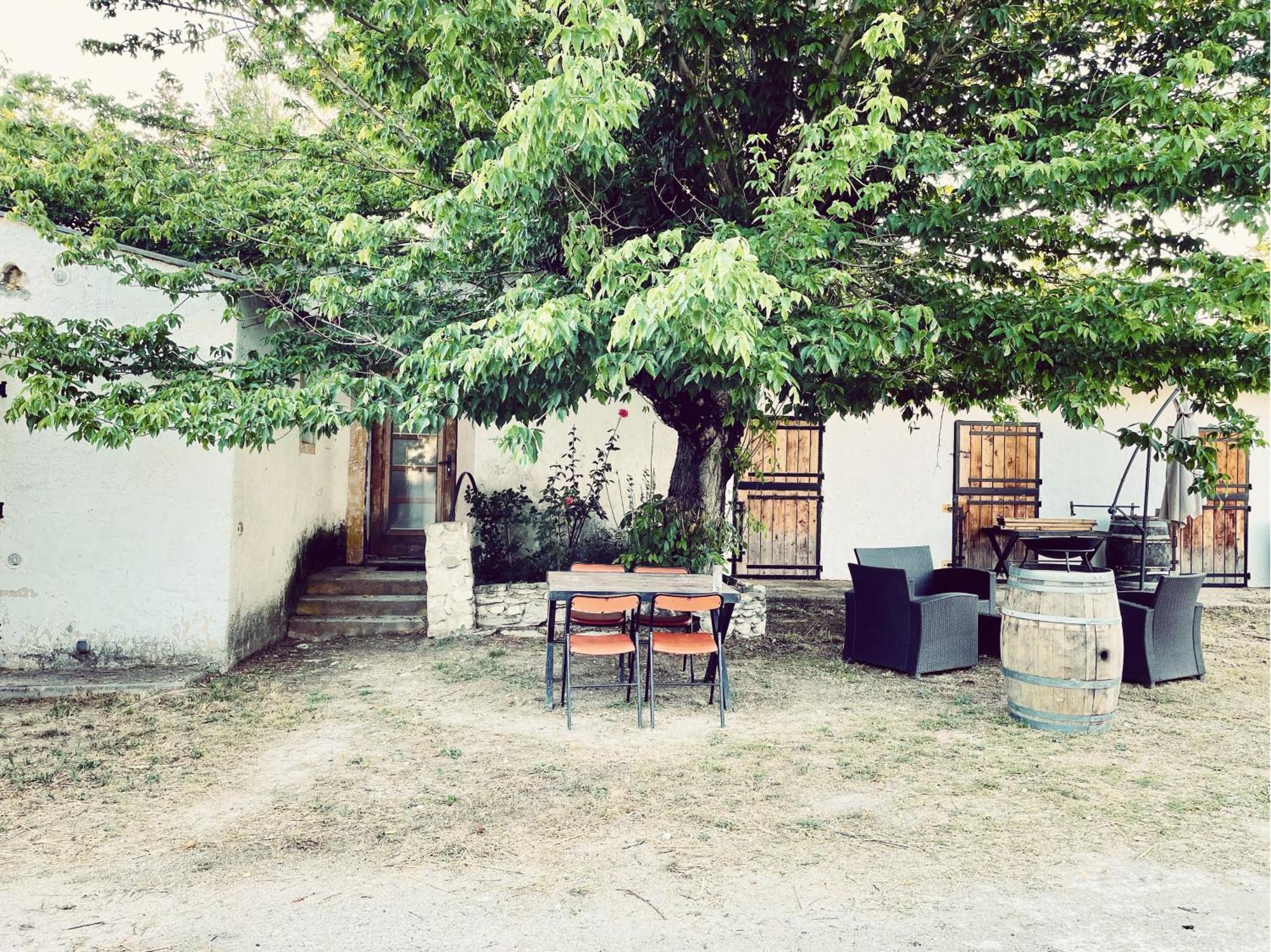 Maison Au Milieu Des Chevaux LʼIsle-sur-la-Sorgue المظهر الخارجي الصورة